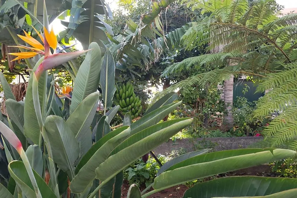 City View Gardens Funchal
